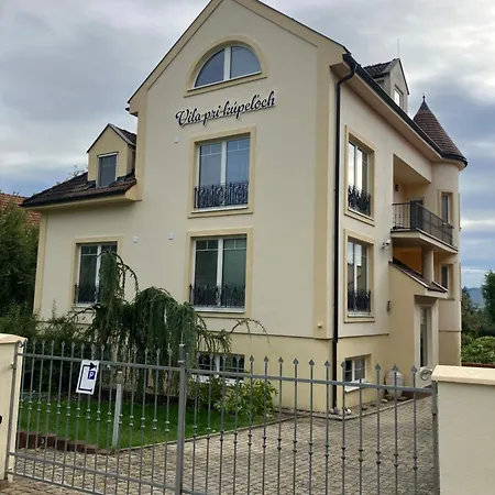 Pri Kupeloch
